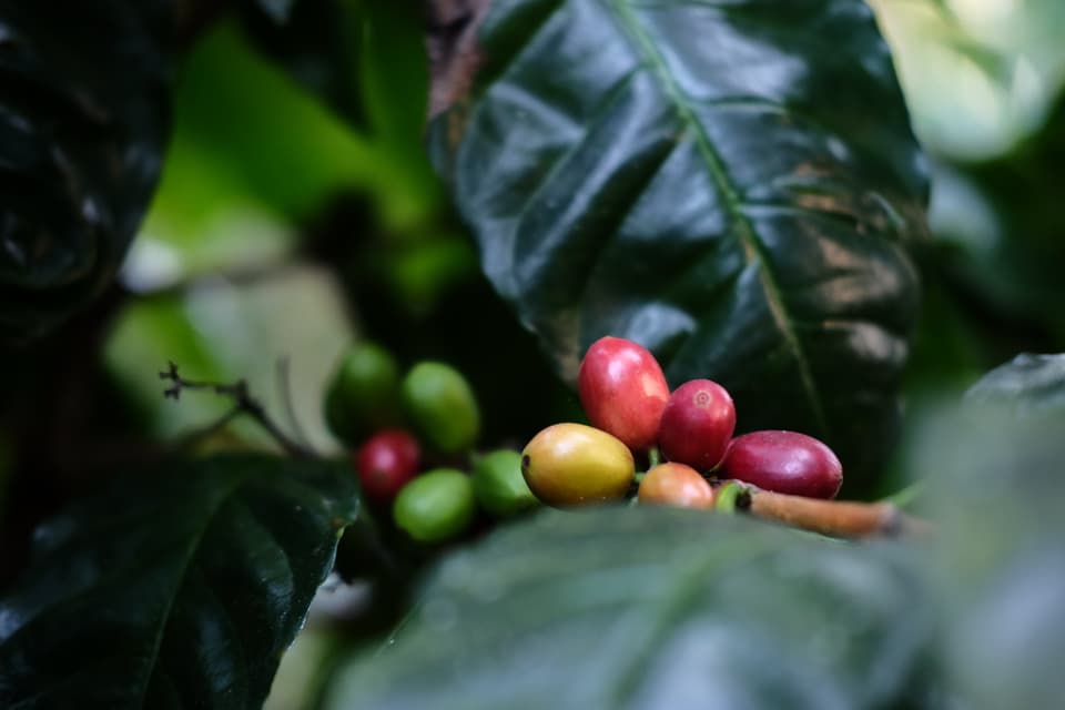 DSCF9587