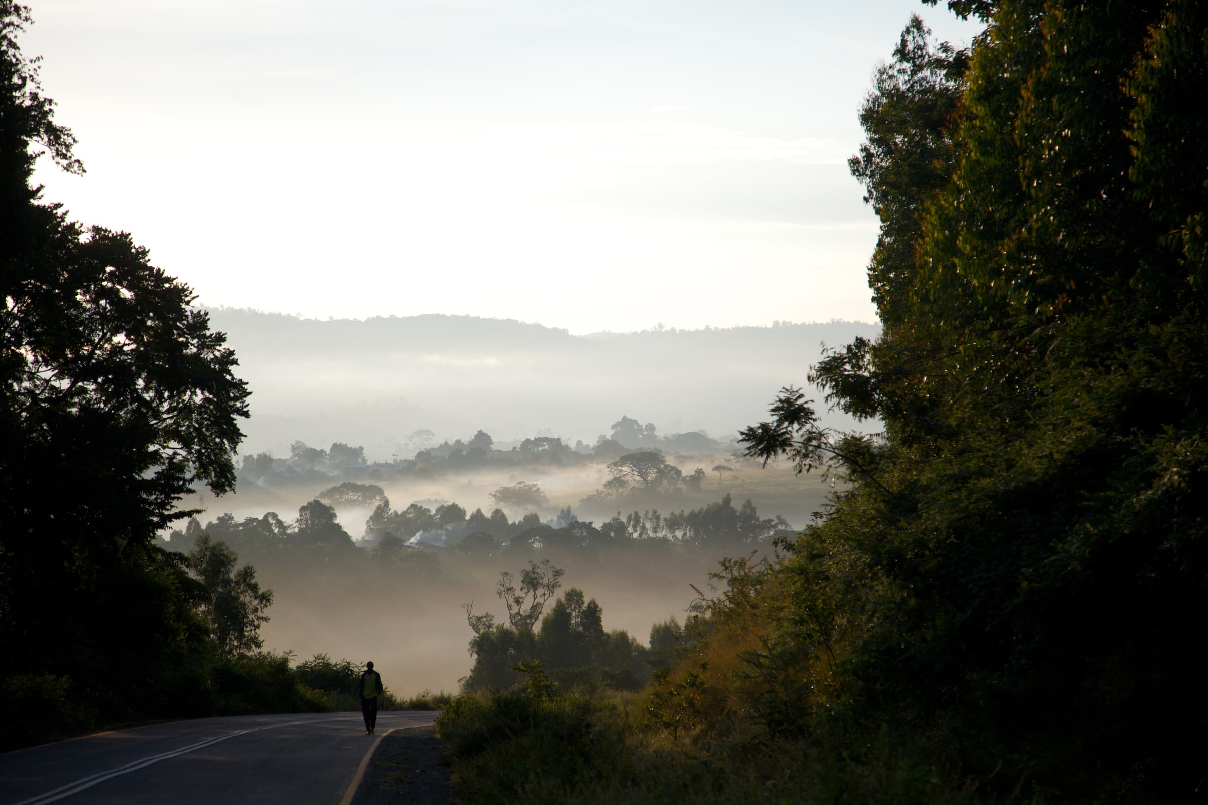 Ethiopia landscape