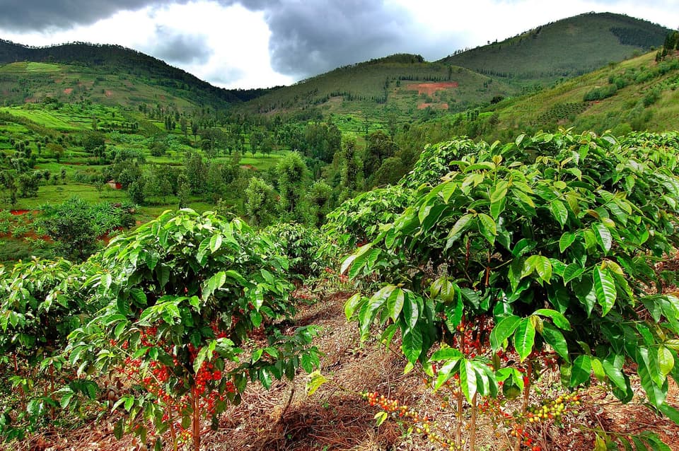 Rwanda CCC 5229019597 10e512b323 k