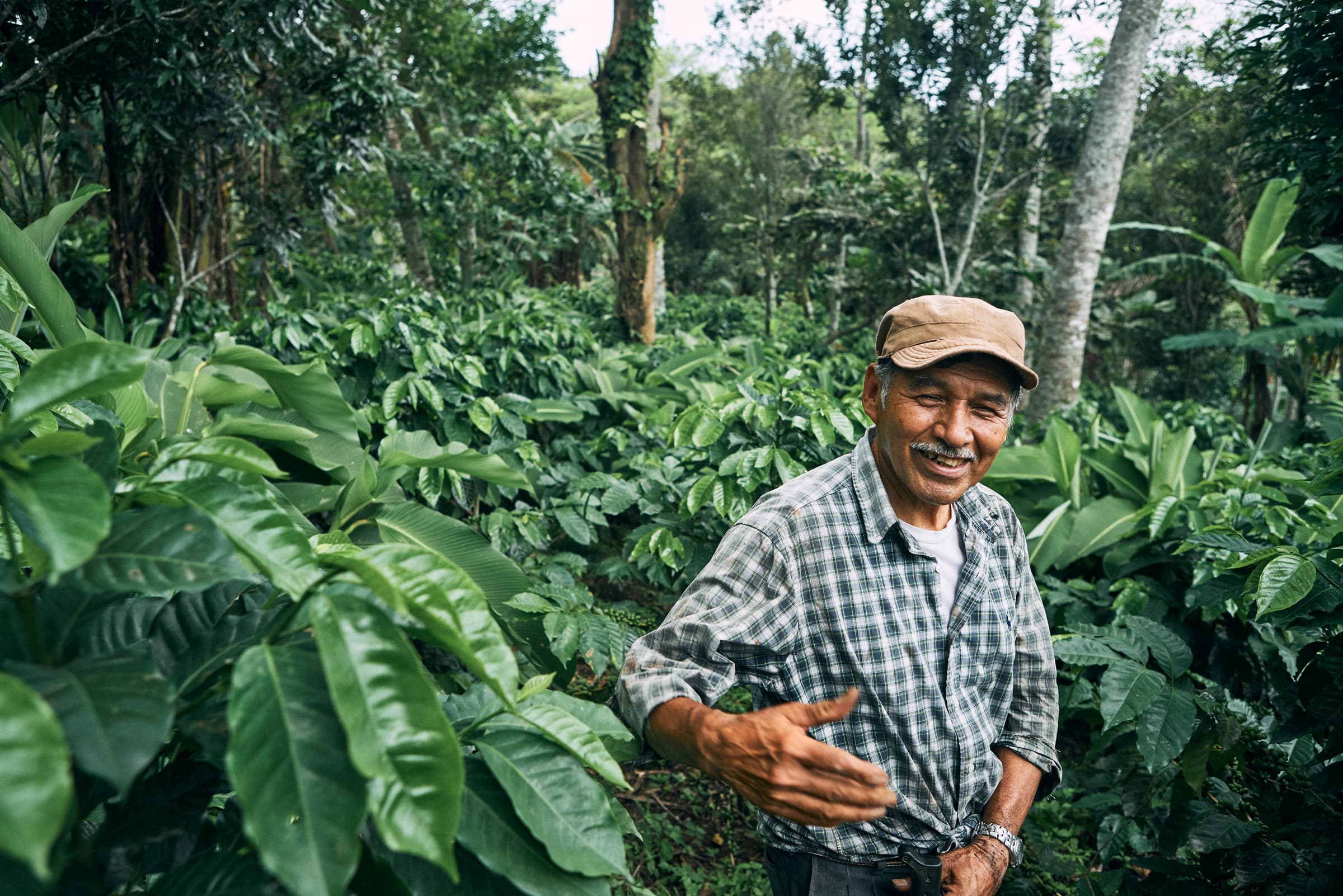 Guatemala coffee deals