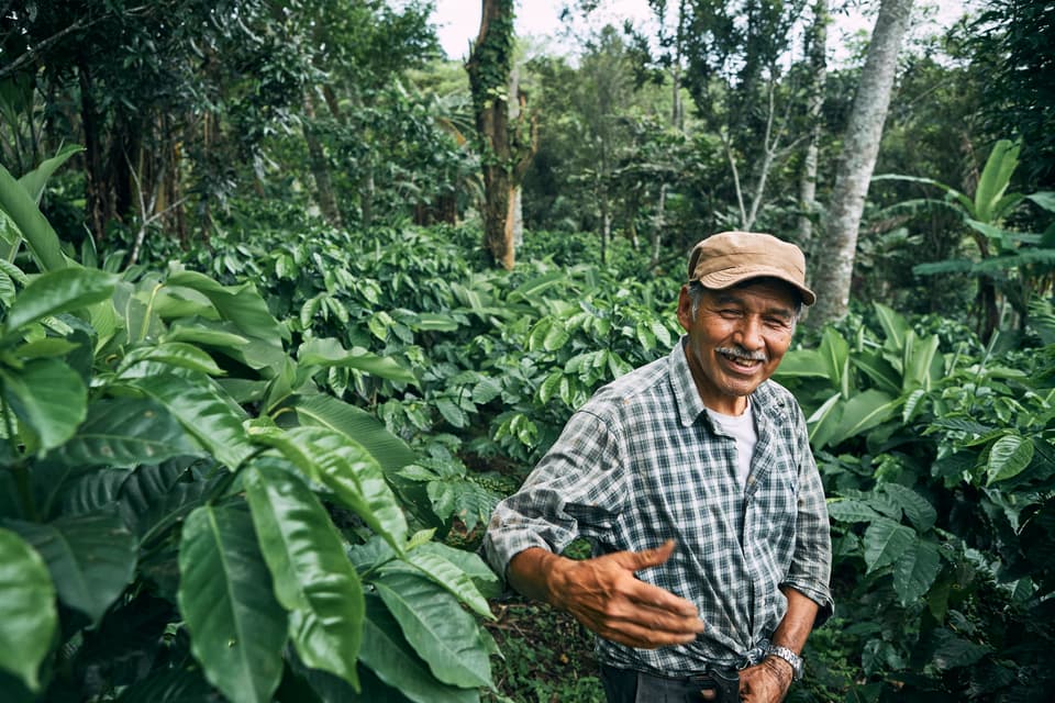 Farmer smiling with some coffee plants