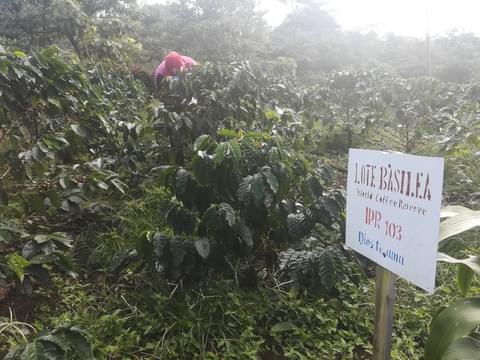 IMG 20190110 090418