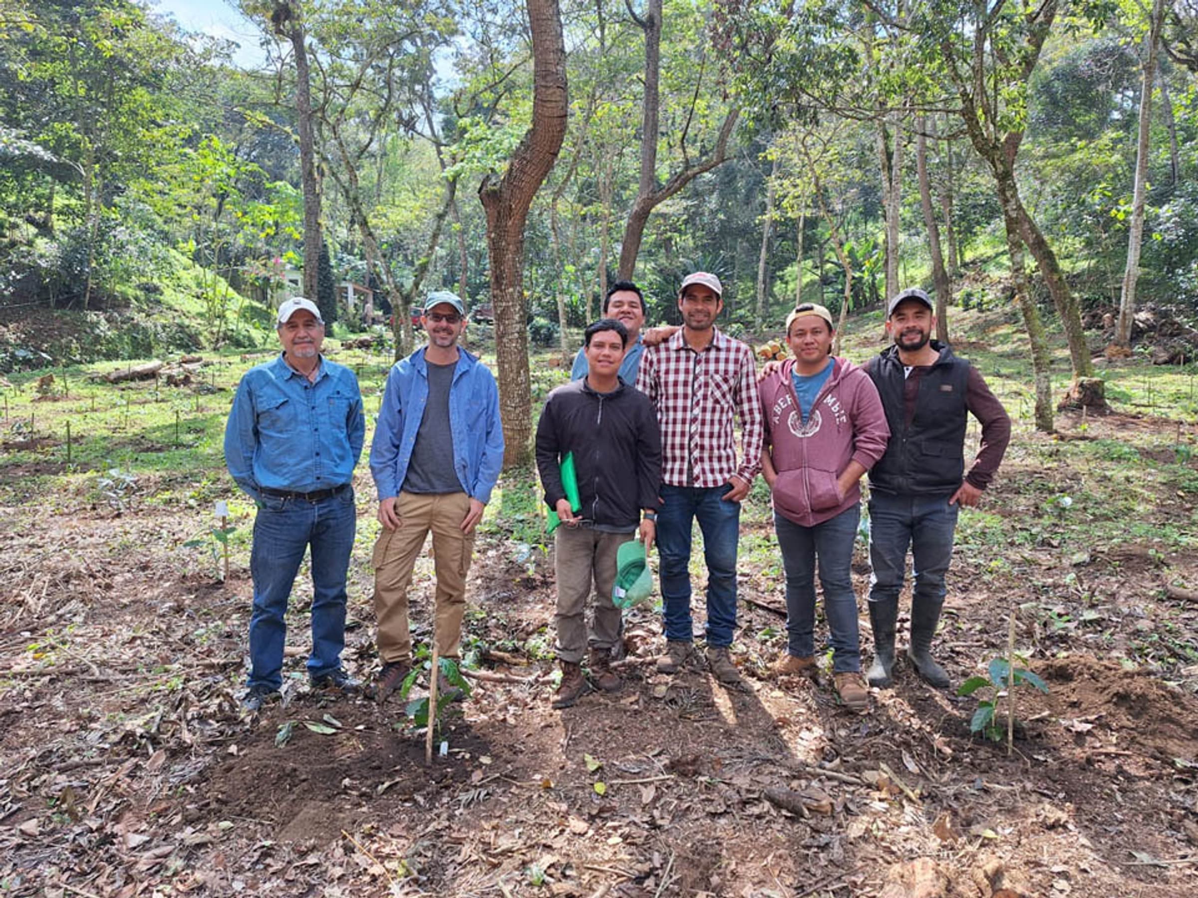 Innovea Chapingo 5