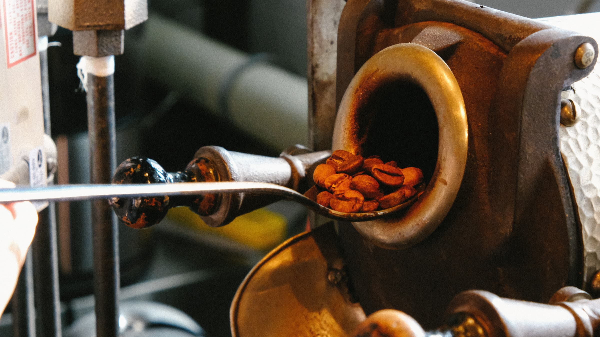 Intelligentsia F1 Hybrid 12