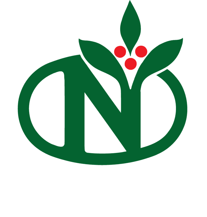 N Logo 4c cookie