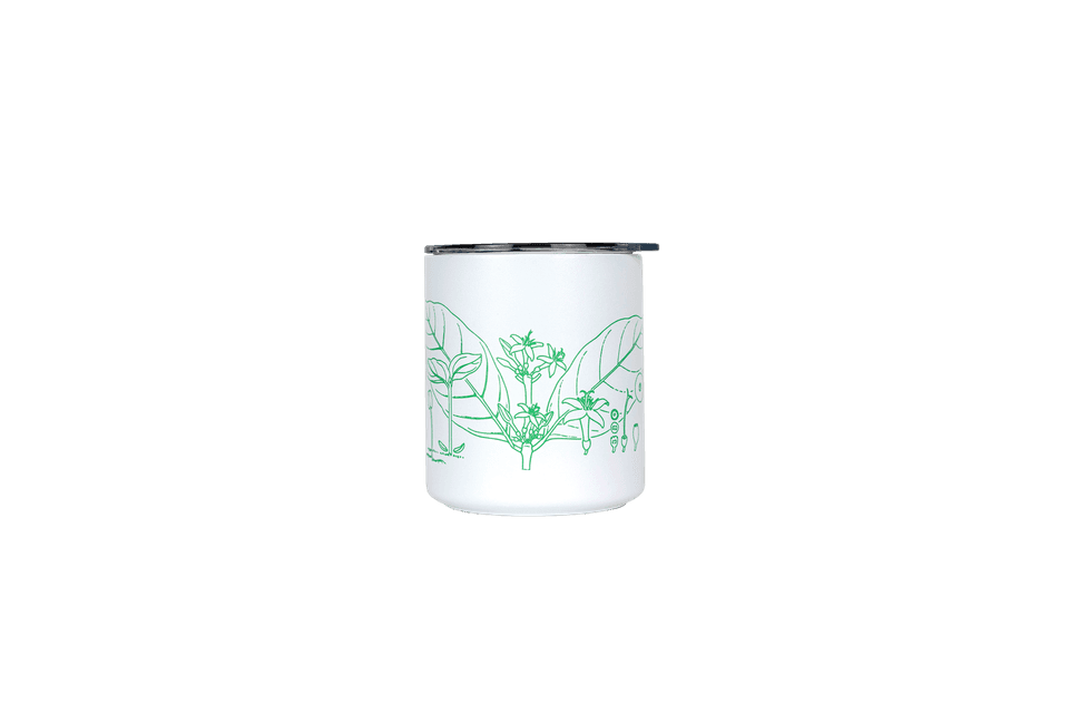Lucy Smith camp cup transparent 2