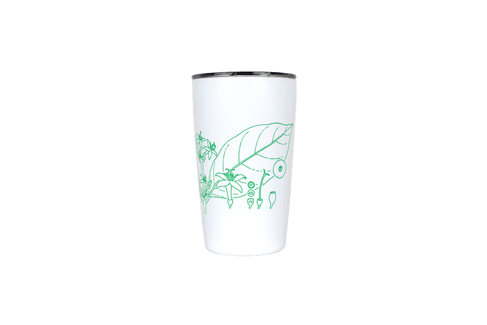 Lucy Smith tumbler transparent 4
