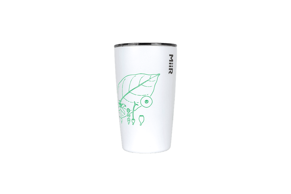 Lucy Smith tumbler transparent 5