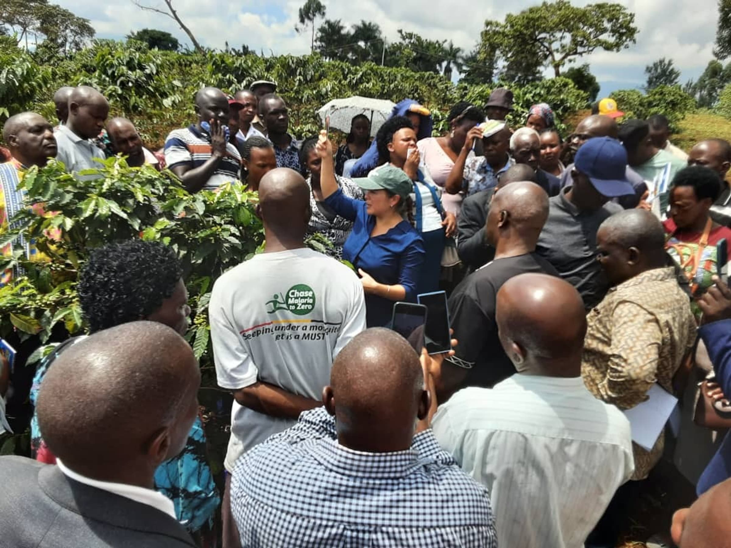 Uganda arabica nursery training emilia