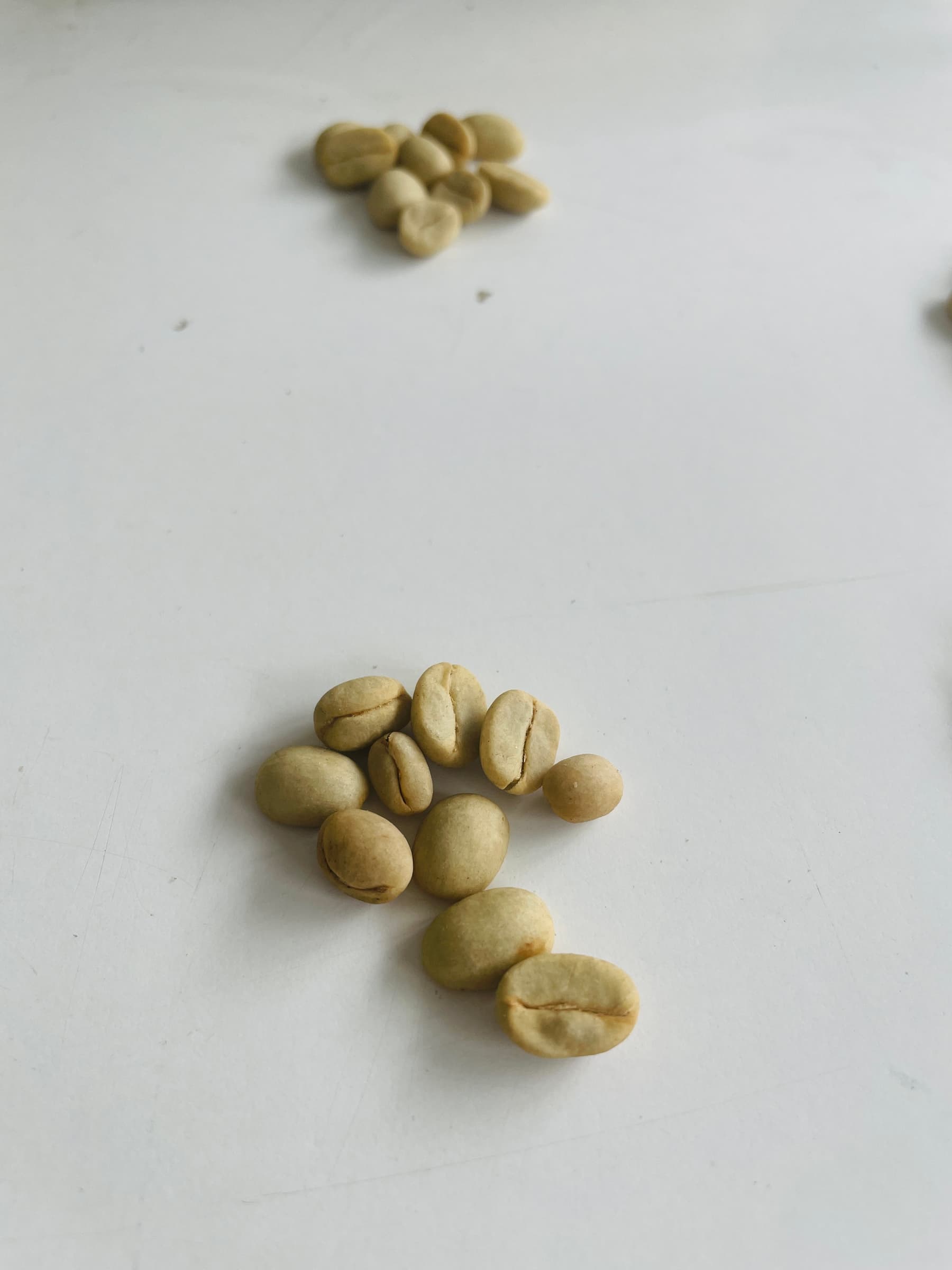 Counting Innovea seed 1