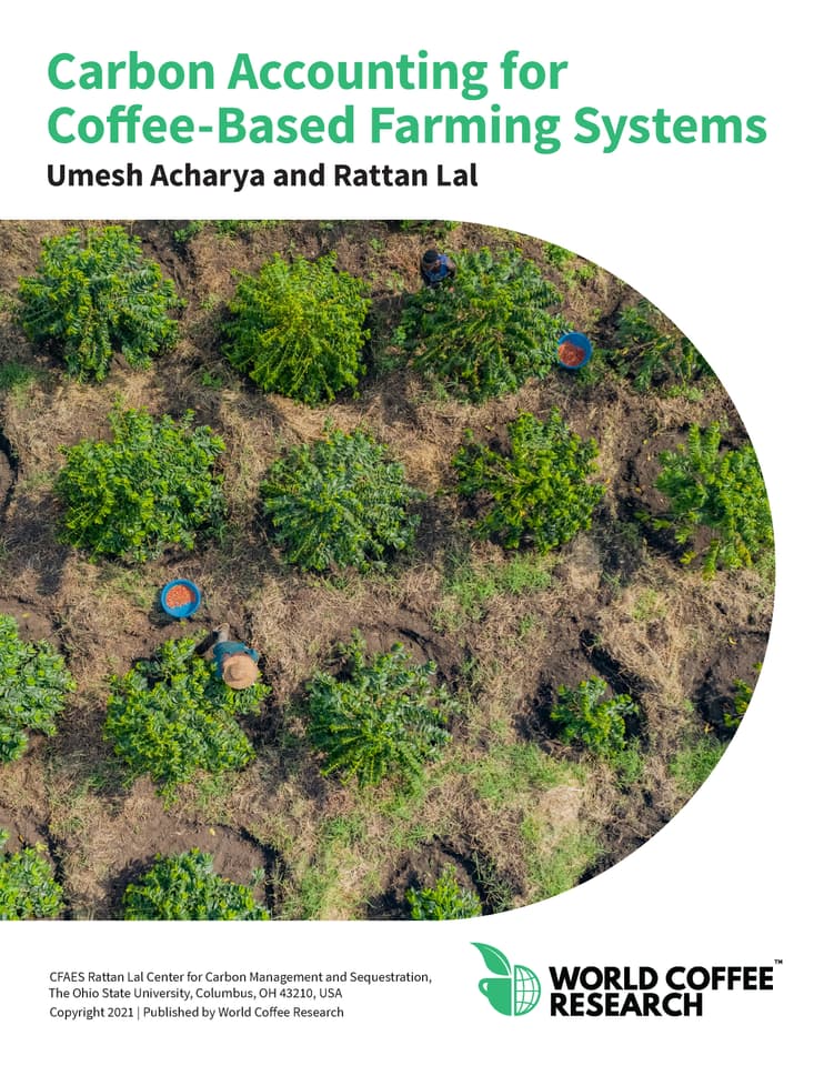 Rethinking Coffee Carbon Accounting Page 01