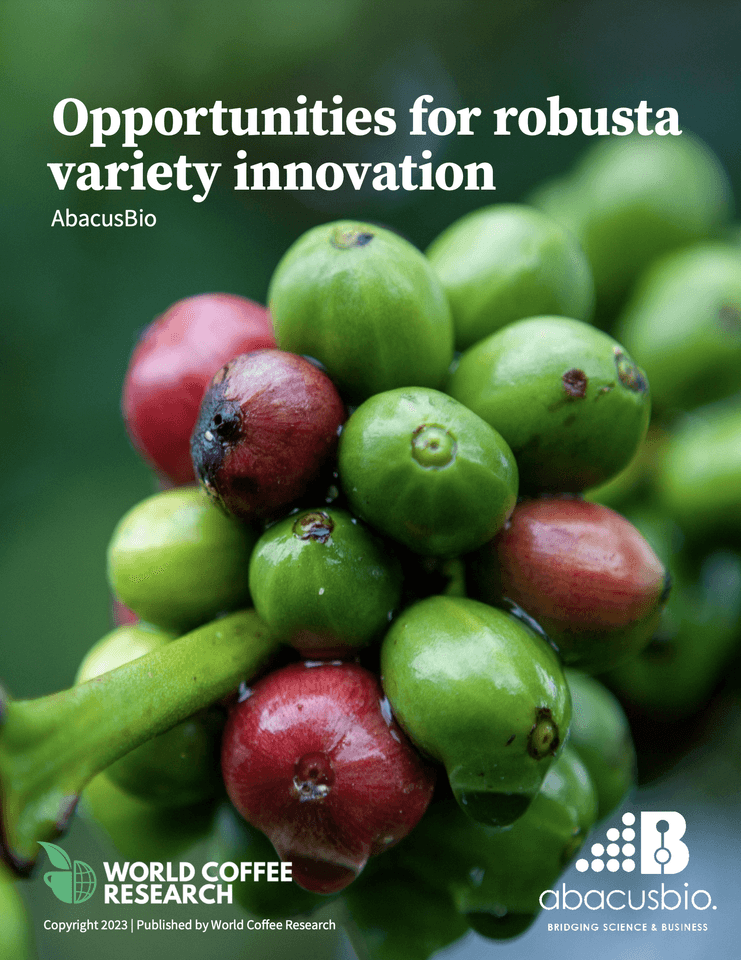 Opportunities for robusta variety innovation