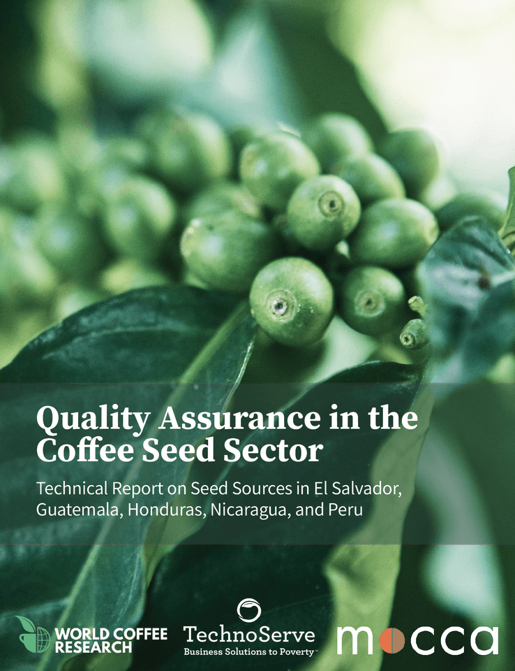 Quality Assurance in the Coffee Seed Sector Thumbnail