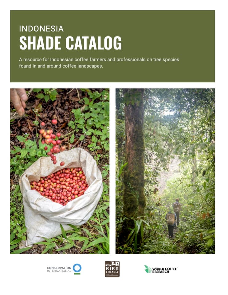 Shade Catalog Cover