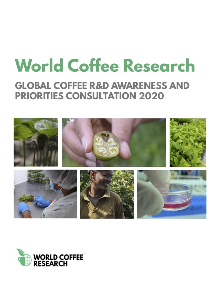 WCR Global Consultation 2020 cover image original