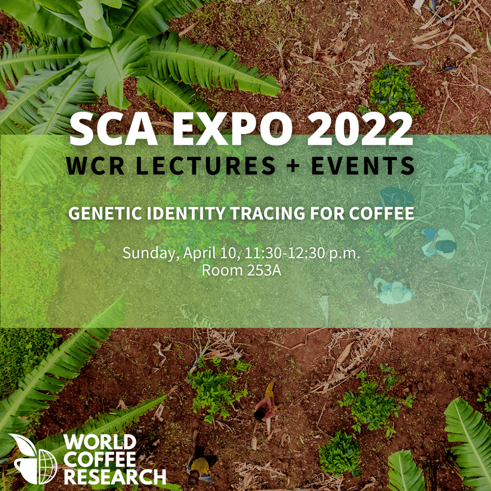 SCA EXPO 2022 lectures events 1