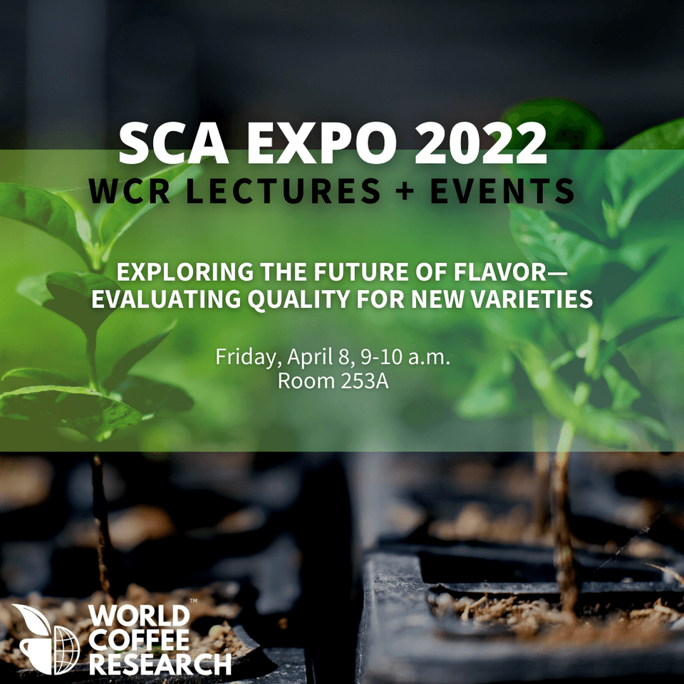 SCA EXPO 2022 lectures events