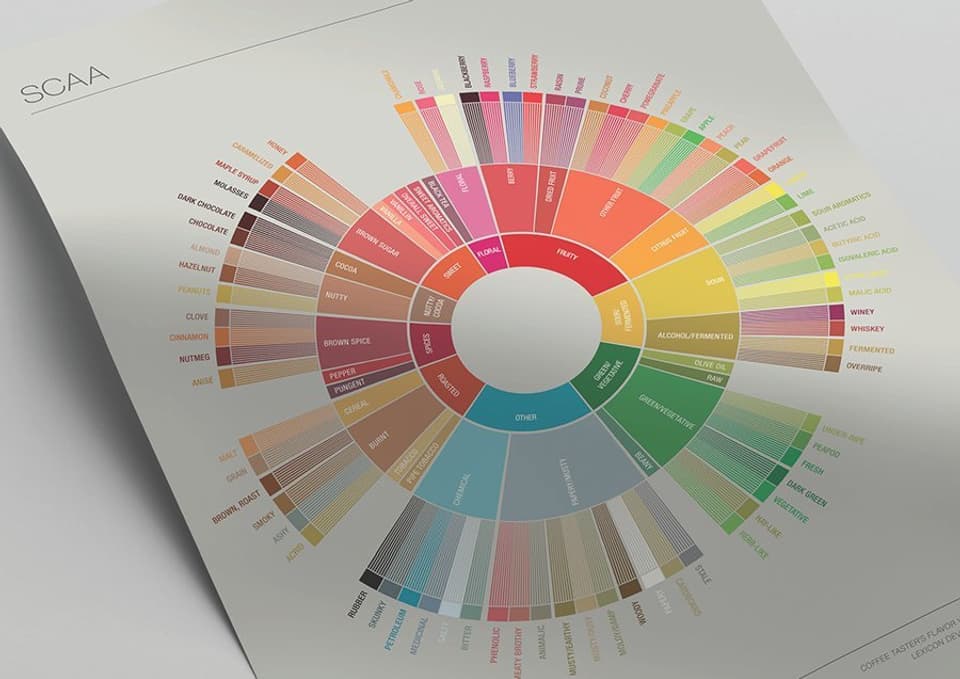 SCAA Flavor Wheel Poster 01 18 15 Page 2 original