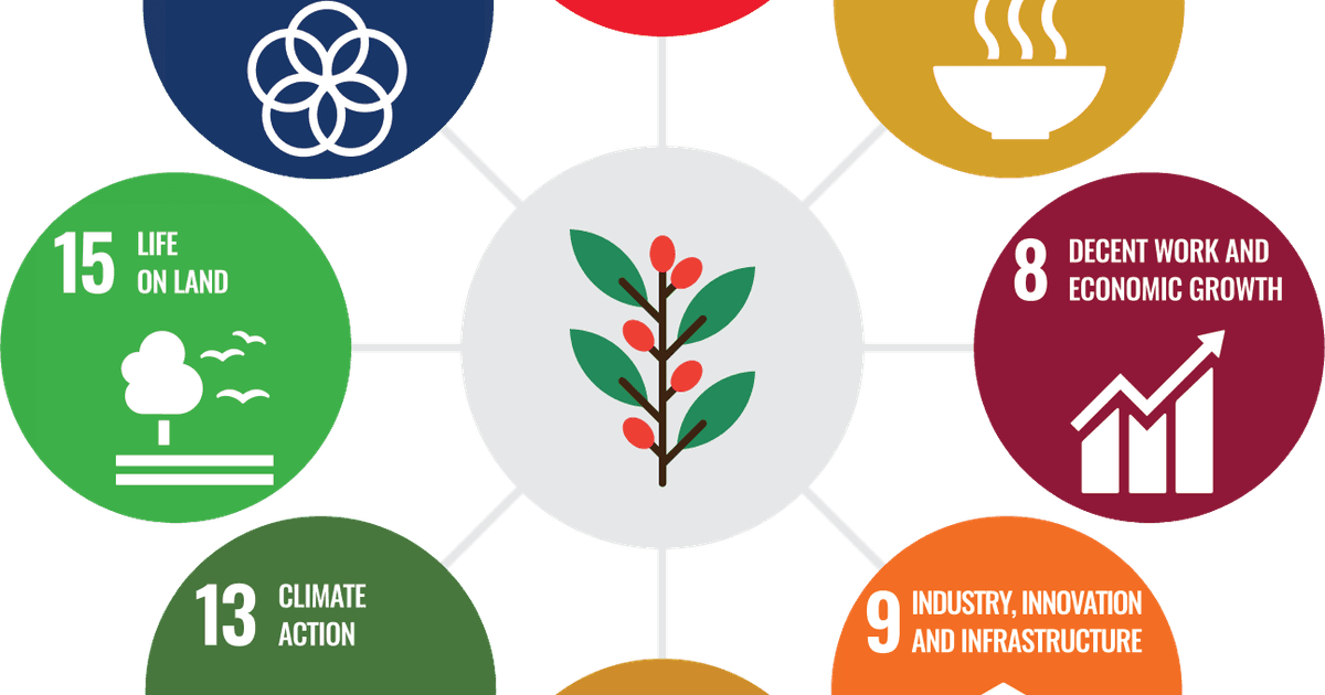 World Coffee Research | Agricultural R&D’s Role in the Future of…