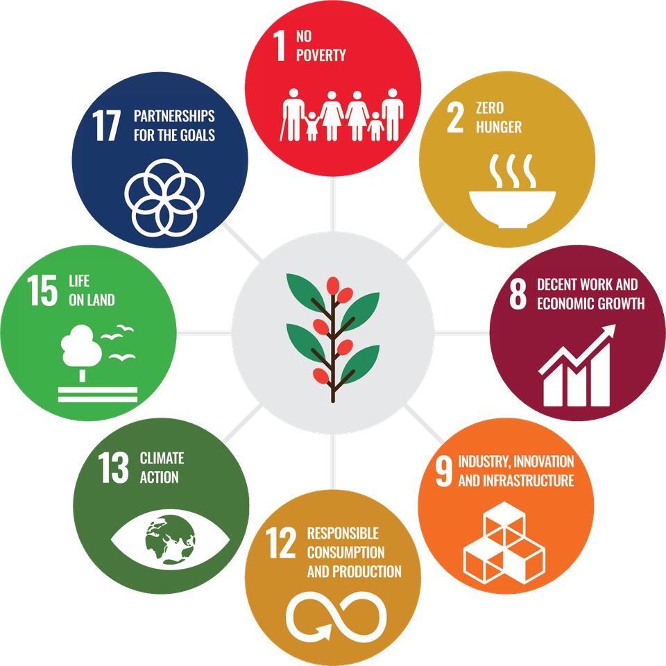 SDG array original