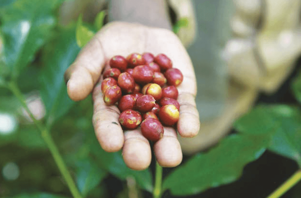 Screen Shot 2023 06 26 at 9 55 32 AM