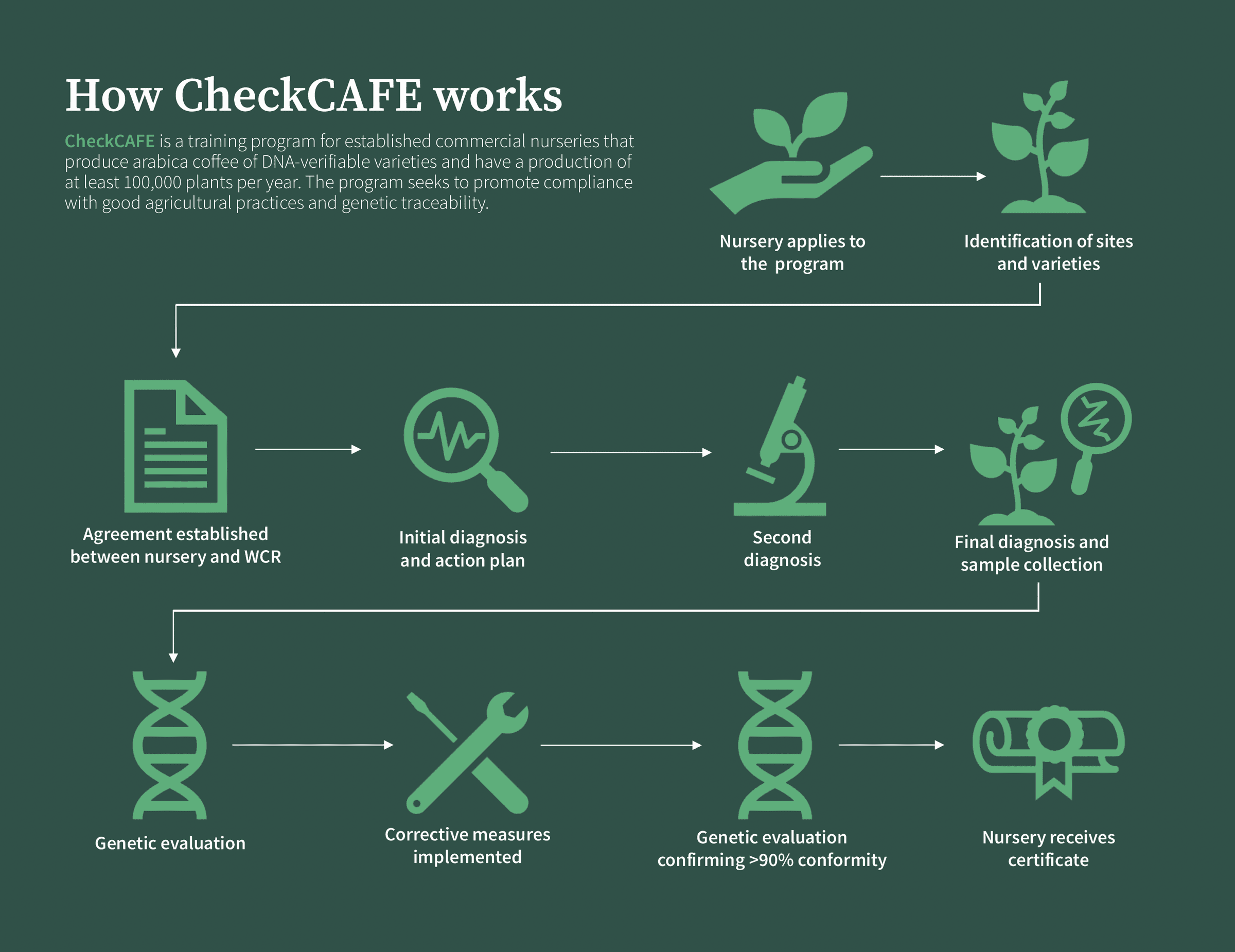 How CheckCAFE works
