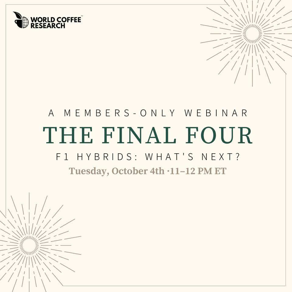 The Final Four Members Only Webinar IG SIZE