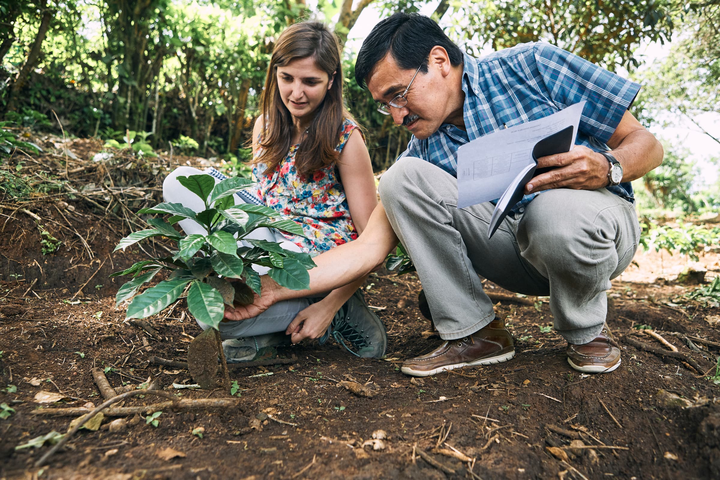 WCR Guate180703 DSC8541