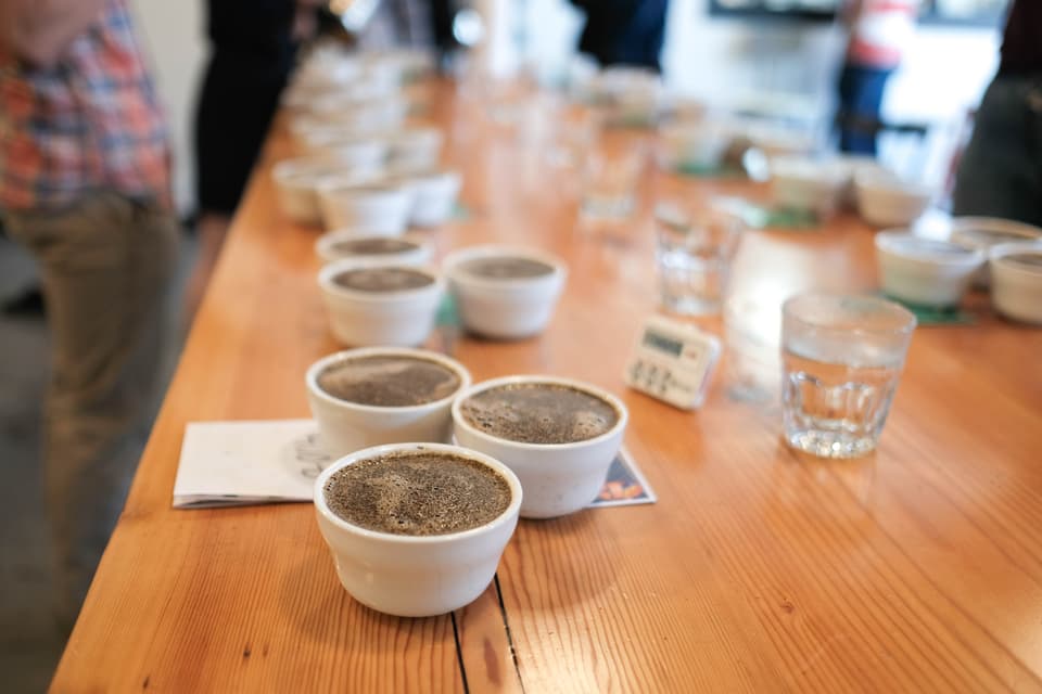WCR variety cupping pdx 41 original