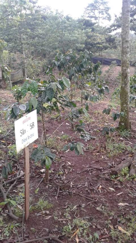 Whats App Image 2018 11 21 at 5 44 46 PM1