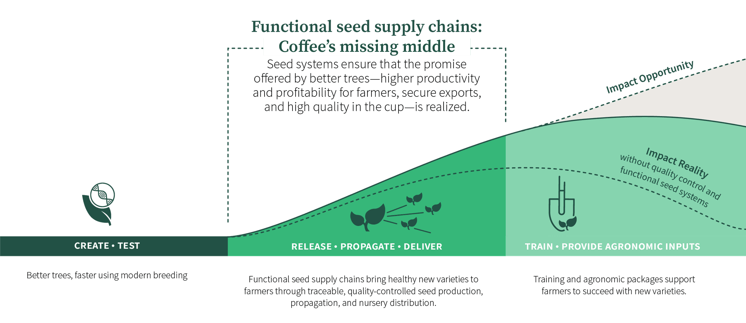 Seed systems missing middle 04