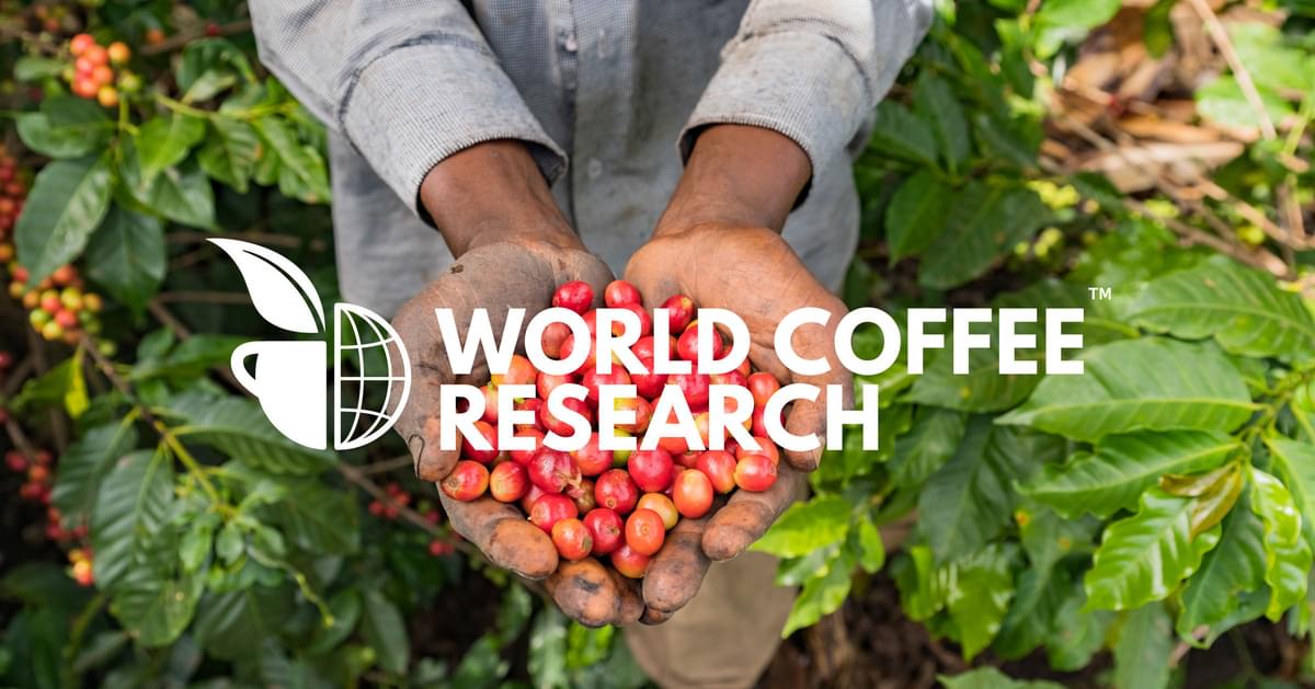 World Coffee Research logo