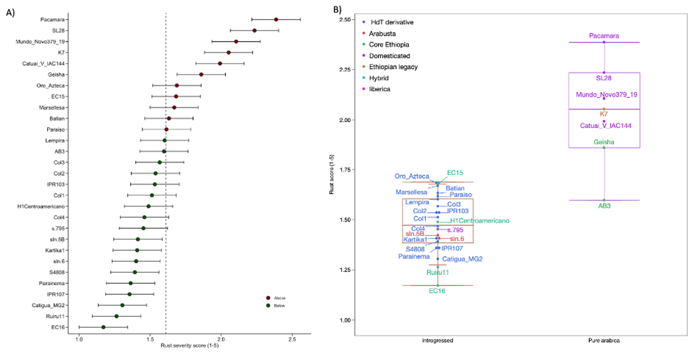 Figure 1 IMLVT Rust Paper