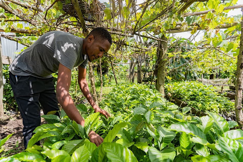 World coffee research