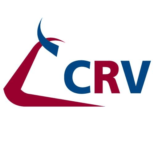 logo.name